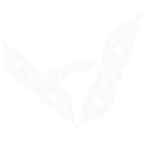 Batik Vision Logo